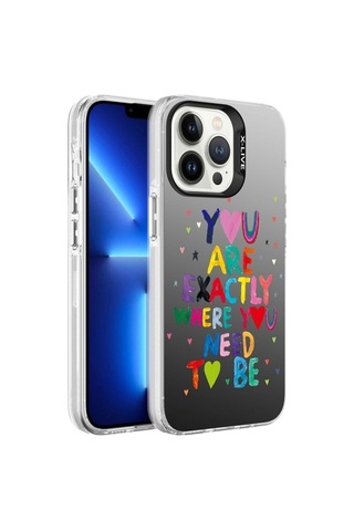 Apple Uyumlu iPhone 13 Pro Kılıf Desenli Zore Silver Sert Kapak You