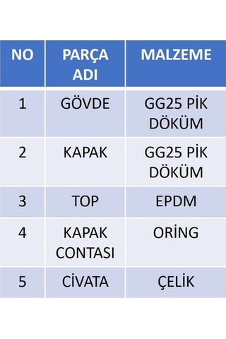 Dişli Çekvalf Toplu 2 Dn Dn50