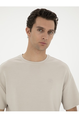 Taş Slim Fit Bisiklet Yaka T-shirt Gri