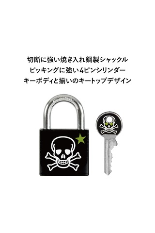 Master Lock 3430eurdskull Anahtar Asma Kilit, Kafatası Motifli, 5