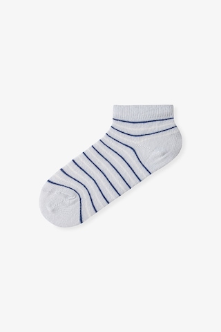 Penti Renkli Erkek Çocuk Stripe Sky 4'lü Patik Çorap
