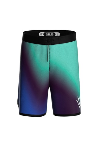 Pose I Down Aurora Veil Boardshort Erkek Fizik Ve Deniz Şortu Mavi