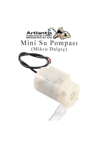Mini Su Pompası Deney Seti 1 Adet Hortum Pil Yatağı Anahtar Mikro Dalgıç Pompa Solonoid Su Pompası Küçük Akvaryum Motoru