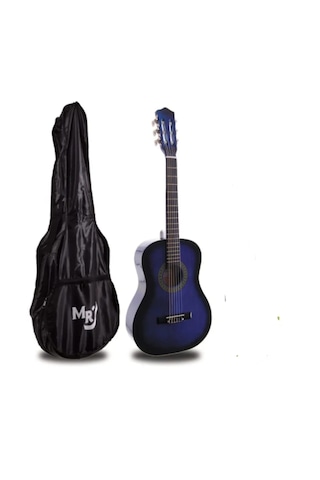 Mavi Kılıflı Gitar