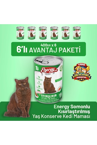 Energy Somonlu Kısırlaştırılmış Yaş Kedi Maması 400 G - 6 Adet
