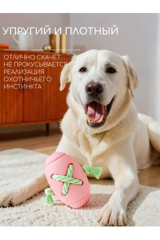 Pet's Boutique Köpekler İçin Oyuncağı Kordonlu Toplar Koklama Oyuncağı 440115899