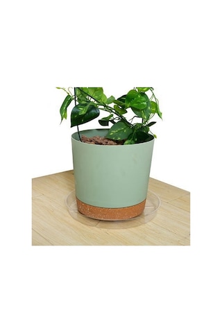 Pazly 12 Inç Şeffaf Plastik Bitlik Altlığı 4'lü Set - İç/dış Mekan Dayanıklı