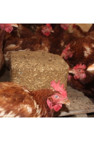 Peckstone 10 kg gagalama taşı