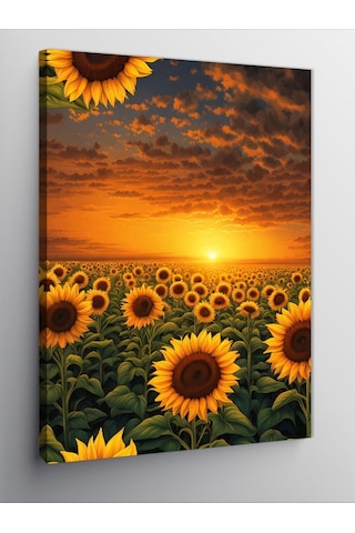 Kanvas Tablo Ay Çiçeği Tarlası 70cmx100cm