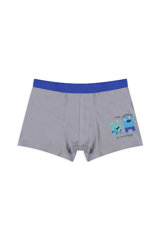 Koza İç Giyim Erkek Çocuk Pamuklu Uzay Baskılı 3'lü Boxer 3053 3053-15