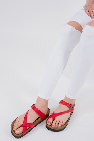 Fox Shoes Kırmızı Kadın Terlik B777753009 Kırmızı