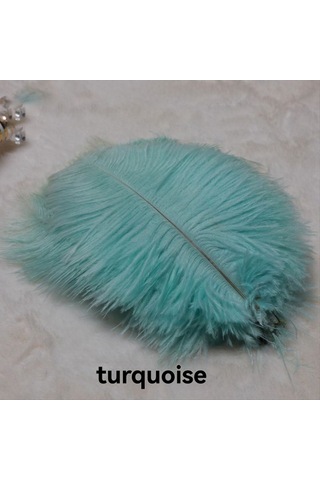 Gatherco 20-25 Cm Devekuşu Tüyü Sahne Performansları Tüyleri El Yapımı Kendin Yap Takı Süslemeleri Devekuşu Tüyleri Açık Pembe