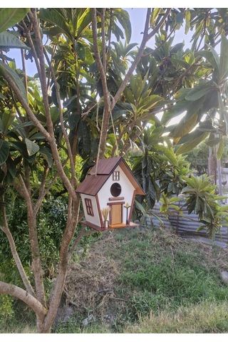 El Yapımı Ahşap Kuş Yuvası Dekoratif Kuş Evi Bahçe Balkon Dekorasyon Vernikli Kızılağaç
