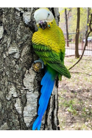 Barel'ef Figür Dekoratif Bahçe Papağanı 143499234