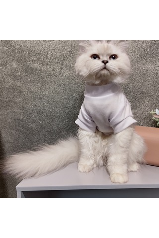 Kedi Ve Köpek İçin Düz Beyaz Tshirt