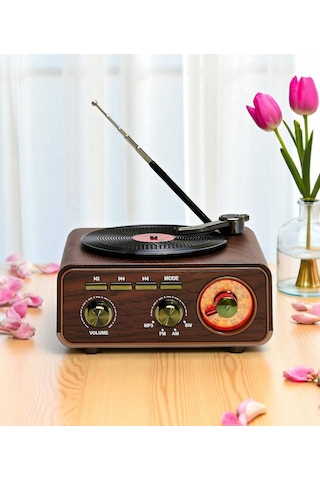 Dcx-11 Özel Tasarım Ahşap Görünümlü Retro Vintage Nostaljik Radyo & Bluetootlu Mini Fm Radyo