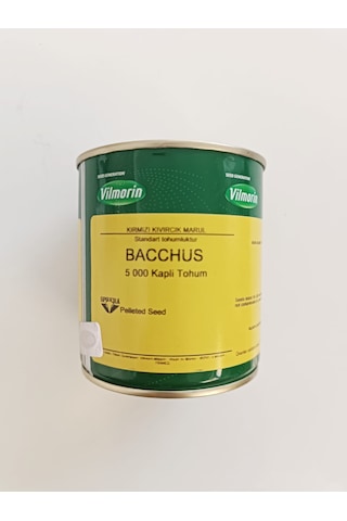Bacchus Kırmızı Kıvırcık Lolorosso 1 Kutux5000 Adet Kaplı Tohum