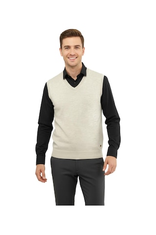Çizgi Triko Erkek V Yaka Süveter Çelik Örgü Regular Kalıp 5200h Bgl-st04962 Taş