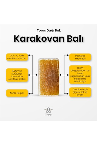 Toros Dağı Karakovan Balı 600 G
