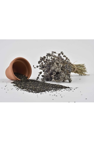 Lavanta Lavandula Angustifolia 20 Adet Tohum