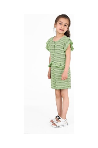 Luess Kız Çocuk Fırfır Detaylı Çıtçıtlı Renkli Çizgili Tulum-yeşil Yeşil