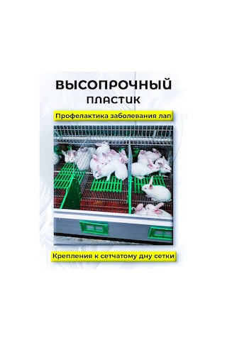 Tavşanlar İçin Girdap Polik 486570288