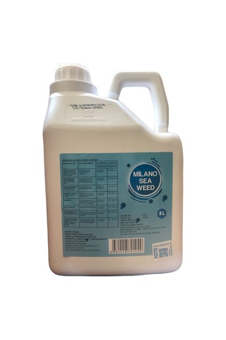 Milano Sea Weed 5 Lt Deniz Yosunu 5 Lt