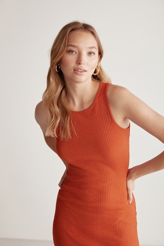 Grımelange Carına Kadın Geniş Fitilli Esnek Kumaşlı Vücüda Oturan Bodycon Maxi Kiremit Rengi Elbise Kiremit Rengi