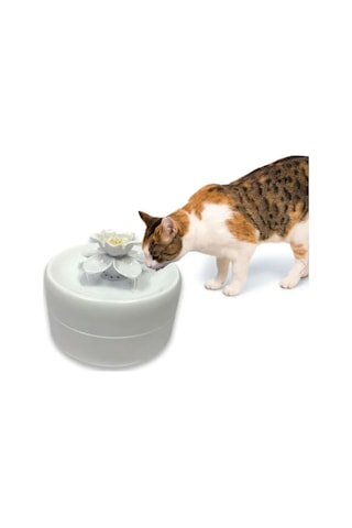 Pioneer Pet Drinking Fountain Manolya Otomatik Kedi Su Kabı 1600 ML