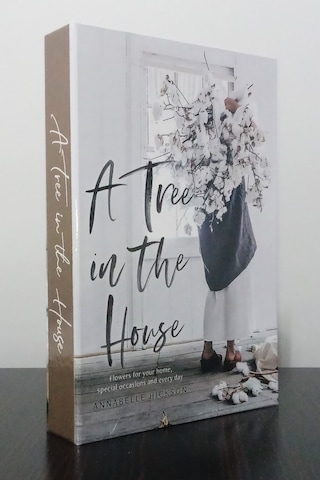 2'li Dekoratif Kitap Kutu Görünümlü A Three İn The House & Simplecity Temalı