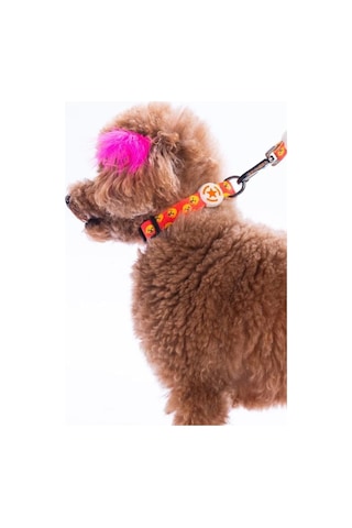 Pawstar Poodle Boyun Tasması M Boyun Çevresi: 32 Cm X 48 Cm Çok Renkli