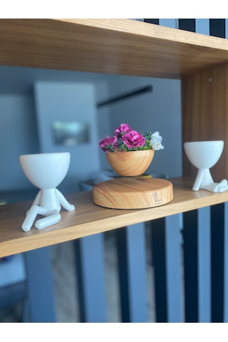 Pcd200 Uçan Saksı
