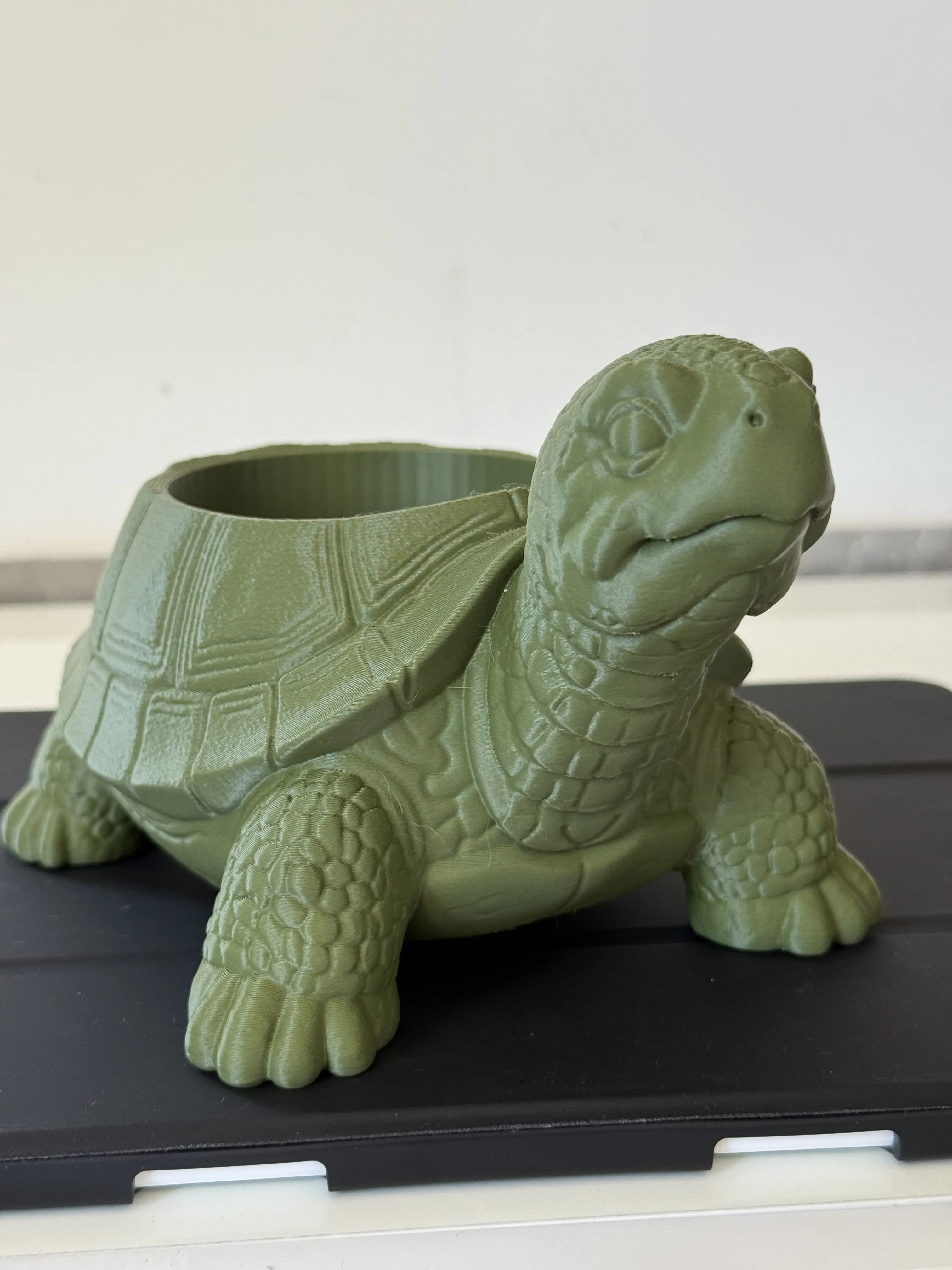 3d Tasarım Kaplumbağa Sukulent Ve Kaktüs Saksısı