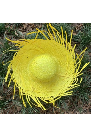 Hubrendy Cer Tropikal Parti Sarı Hasır Hawaii Şapkası 13x36 Cm