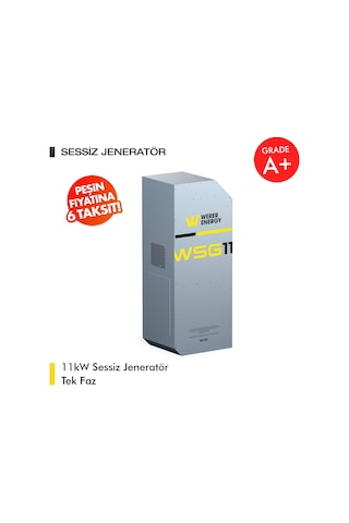 11kW LiFePO4 Lityum Demir Fosfat Tek Faz Sessiz Jeneratör