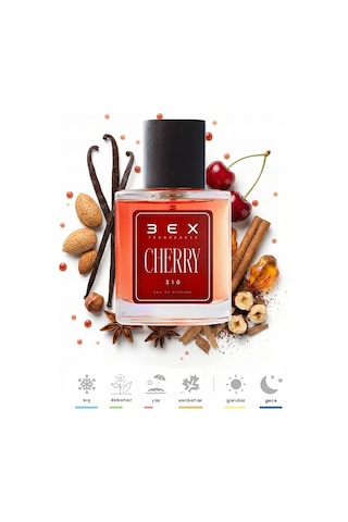 Bex 310 Unisex Parfüm EDP 50 ML