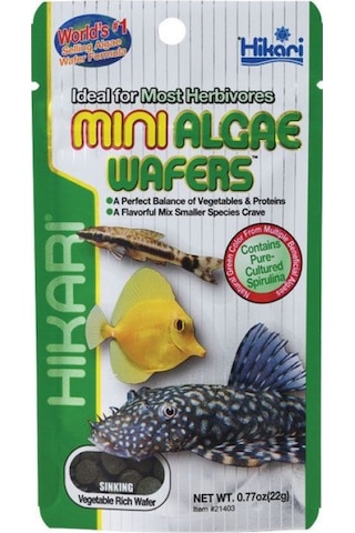 Hikari Mini Algae Wafers Sinking 22 G