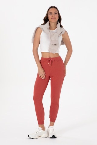 U.S. Polo Assn. Kadın Kiremit Jogger Eşofman Altı 50307759-VR026