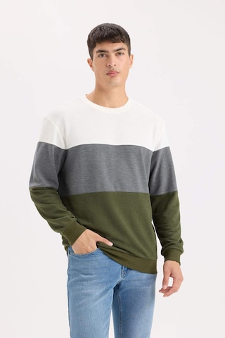 DeFacto Regular Fit Bisiklet Yaka Renk Bloklu Jakarlı Sweatshirt D5393AX24AUGN351