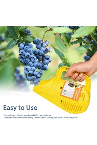 Maoyaya Yabanmersini Toplayıcı, Yumuşak Dokunuşlu Suntek