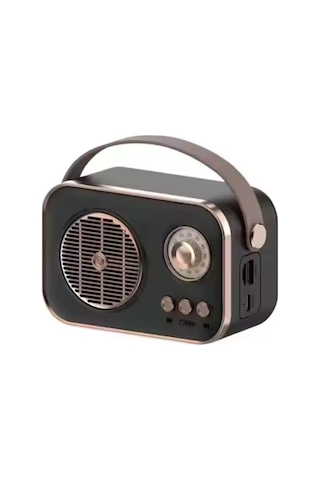 Pl-4641 Bluetooth, Sd, Usb Girişli Bluetooth Destekli Type-c Speaker