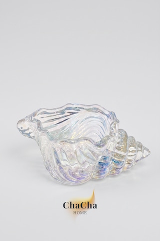 Maris Dekoratif Cam Deniz Kabuğu Lokumluk & Sunumluk 11x5 Cm 6 Adet Şeffaf