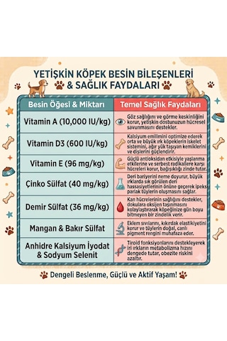 Anatolian Premium Somonlu Orta ve Büyük Irk Yetişkin Köpek Maması 18 kg