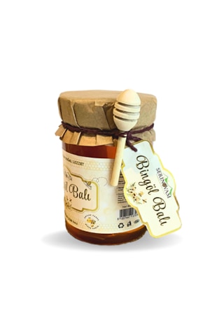 Serinovam Bingöl Balı 425 G