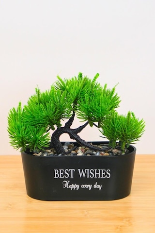 Digithome Dekoratif Kayık Saksılı Yapay Çam Ağacı Bonsai Siyah 16cm Eva-5829 C1-1-423