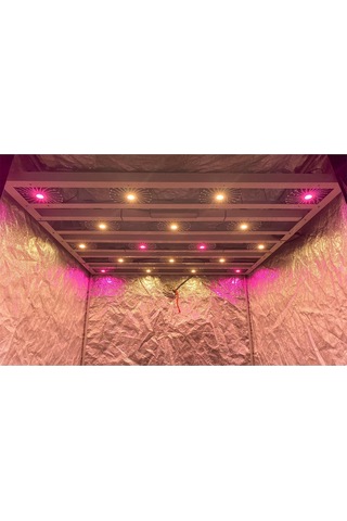 Citi 18 Pro 480w Full Spectrum Grow Led Lamba