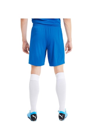 Puma 704262 Teamgoal 23 Knit Shorts Mavi Mavi