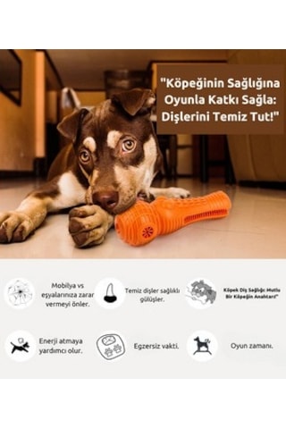 Raikou Köpek Isırmalı Oyuncak Diş Temizleyen Köpek Oyuncağı