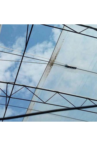 Suntek 5 Adet Tavuk Çiftliği Sera Tekerlekli Kasnak 6