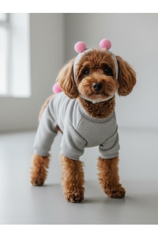 Ponpon Şeker Köpek Tulumu & Bere Takımı Şardonlu Polar Kumaş Küçük Irk Köpekler İçin Tüy Dökülmesini Gri M
